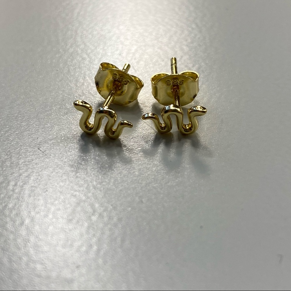 Stud Earrings
